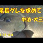 2022/11/3・4愛媛県・中泊(磯釣り)【末光渡船】釣れたらいいね！なんちゃんチャンネル