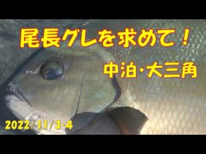 2022/11/3・4愛媛県・中泊(磯釣り)【末光渡船】釣れたらいいね！なんちゃんチャンネル