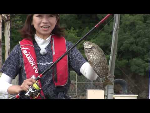 南伊勢町迫間浦の紀州釣り（２０２２年１１月５日放送）