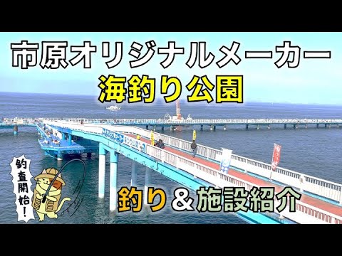 市原オリジナルメーカー海釣り公園｜混雑で入場制限がかかる土日祝日の攻略方法と釣りポイントを紹介。釣行時はあの回遊魚が公園全体で爆釣
