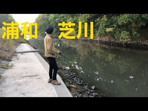 埼玉バス釣りポイント　浦和　芝川②