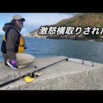 凄い、凄い、凄いよ奥さん！…横取りされました！…#カゴ釣り #カゴぶっ込み#堤防釣り