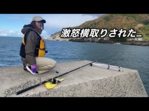 凄い、凄い、凄いよ奥さん！…横取りされました！…#カゴ釣り #カゴぶっ込み#堤防釣り