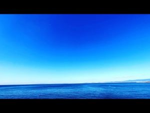 天気が良いので大物釣りたい。