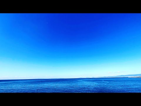 天気が良いので大物釣りたい。