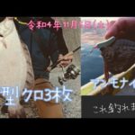 【ブラー釣り】大きなクロガシラとアンモナイト【カレイ探り釣り】北海道釣り　お手軽フィッシング
