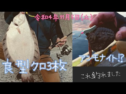 【ブラー釣り】大きなクロガシラとアンモナイト【カレイ探り釣り】北海道釣り　お手軽フィッシング