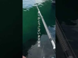【バス釣り】調子のったやつの末路…このあと…