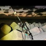 【生配信】暗くなる瞬間からぶっこみ釣り