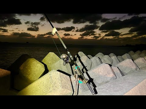 【生配信】暗くなる瞬間からぶっこみ釣り