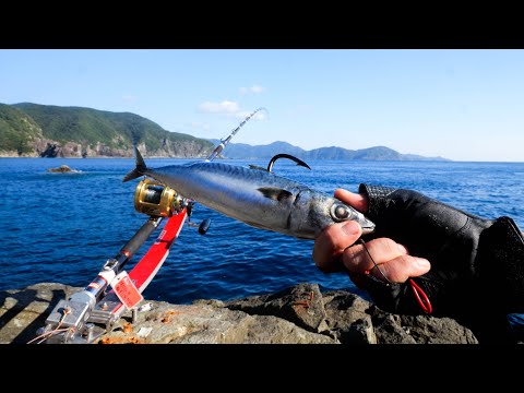 これぞ本気の大物釣り。計60時間をかけ伝説の大クエを狙う1週間の集大成がこちら