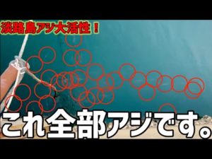 淡路島アジめちゃ沸きw wそろそろサビキも秋本番！！！【淡路島釣り】