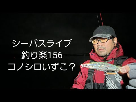 シーバスライブ【釣り楽156】