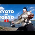 500km離れた憧れの地、全力で挑んだ釣り旅の記録。 東京湾シーバス遠征最終章 編【KYOTOtoTOKYO#3】