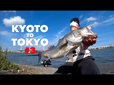 500km離れた憧れの地、全力で挑んだ釣り旅の記録。 東京湾シーバス遠征最終章 編【KYOTOtoTOKYO#3】
