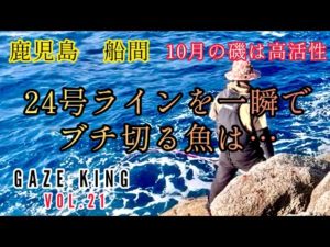石鯛釣り　夜釣り　竿が根元からぶち曲がる❗️　　10月の船間は高活性　　　イシダイ　イシガキ　アラ　クエ　鹿児島　大隅半島　船間　VOL.21