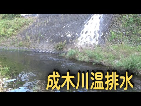【冬の入間川バス釣り】今年の成木川温排水にスモールはいるのか？