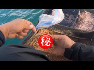 兼松伸行会長の激流対策が最高でした【チヌかかり釣り】