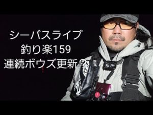 シーバスライブ【釣り楽159】