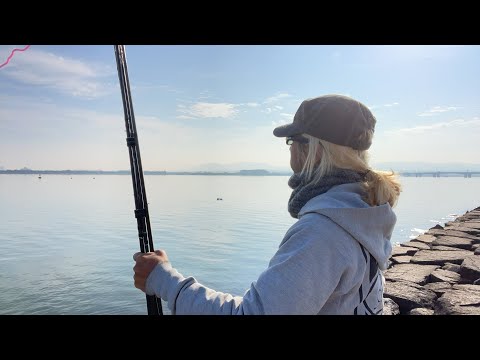 琵琶湖バス釣りライブR４-11/11