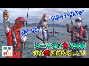 沖一文字は魚の宝庫　旬の魚を釣りましょう！（四季の釣り/2022年10月7日放送）