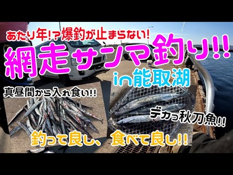 網走サンマ釣り in　能取湖【北海道 道東 網走】【秋刀魚釣り】真昼間から爆釣！今年は当たり年？　超巨大サンマ