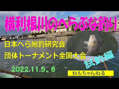 横利根川のへらぶな釣り　日本へら鮒釣研究会団体トーナメント