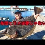 堤防からヒラメを釣る方法は簡単！座布団ヒラメも夢じゃない！