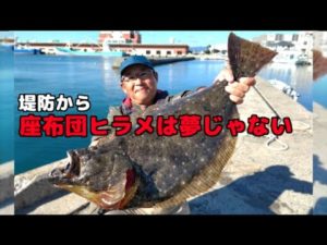 堤防からヒラメを釣る方法は簡単!座布団ヒラメも夢じゃない!