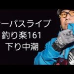 シーバスライブ【釣り楽161】下り中潮