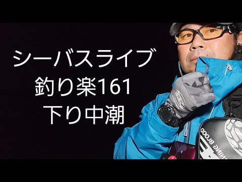 シーバスライブ【釣り楽161】下り中潮
