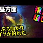 【釣り】北海道濃昼・根魚・投げ釣り・竿ぶち曲がり、アイツが釣れた：2022年