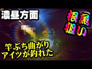 【釣り】北海道濃昼・根魚・投げ釣り・竿ぶち曲がり、アイツが釣れた：2022年