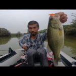 【バス釣り】ゴムボートでバス釣り！江戸川のワンドで50アップを狙え！【千葉バス釣りポイント】