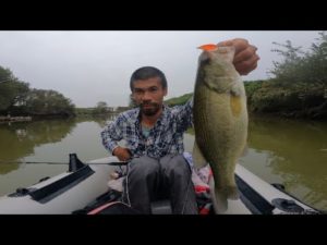 【バス釣り】ゴムボートでバス釣り！江戸川のワンドで50アップを狙え！【千葉バス釣りポイント】