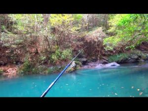 大量の魚が湧く神秘的な淵で釣りしてみた