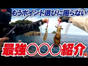 釣り人必見！もうポイント選びには困らない！君もコレ使ってみたらイカが？エギング釣行編