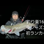 シーバスライブ【釣り楽163】穏やかな中潮