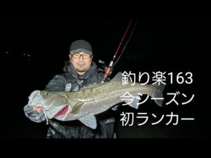 シーバスライブ【釣り楽163】穏やかな中潮