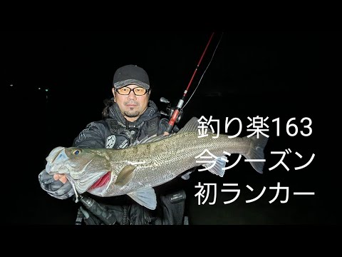 シーバスライブ【釣り楽163】穏やかな中潮