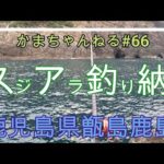 ＃66鹿児島県甑島鹿島スジアラ釣り