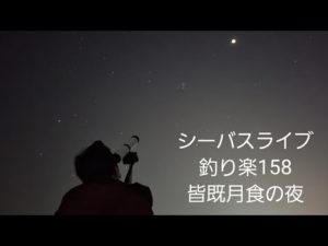 シーバスライブ【釣り楽158】