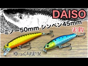 【100均釣具】DAISOミノー５０ｍｍ＆シンペン４５ｍｍ【用水路で実釣】