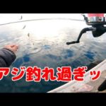 小名浜港一面アジだらけでサビキが爆釣すぎる！　【いわき　釣り】