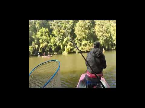 ノリーズカップ2022参戦記 【ショート版】 ~亀山湖・バス釣り~ Okagesan fishing notes Lure Fishing Large mouth bass