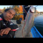 【トラウト釣り】冬のトラウト釣り！釣ったトラウトで爆笑ききマス対決【トラウト】