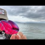 琵琶湖バス釣りライブR４-11/30
