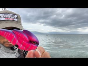 琵琶湖バス釣りライブR４-11/30