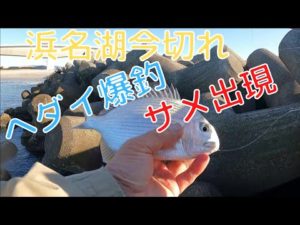 今切れ口両岸を釣り歩き