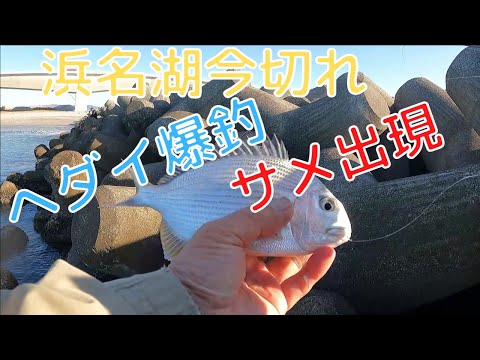 今切れ口両岸を釣り歩き